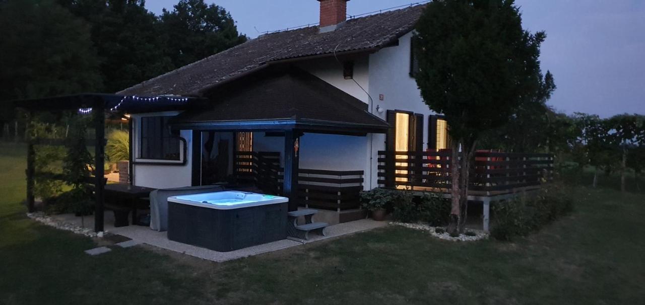 Holiday House Vilana Puconci Exterior photo
